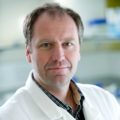 Portrait of Professor Stuart Haslam