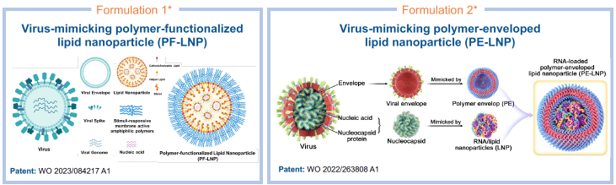 An illustration of two patented virus-mimicking formulations, the polymer-functionalised lipid nanoparticle (PF-LNP) and polymer-enveloped lipid nanoparticle (PE-LNP)