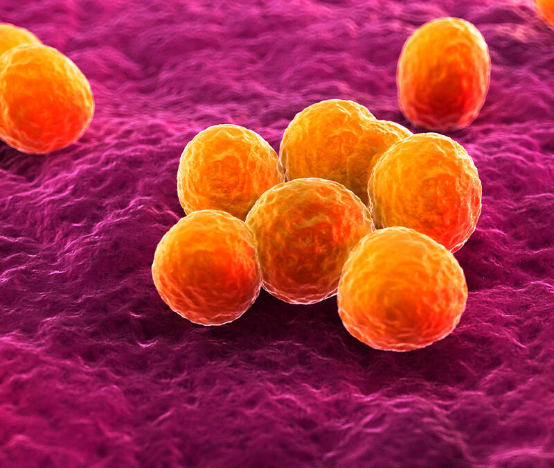 Novel inhibitors of NorA efflux pump for combating antimicrobial resistance