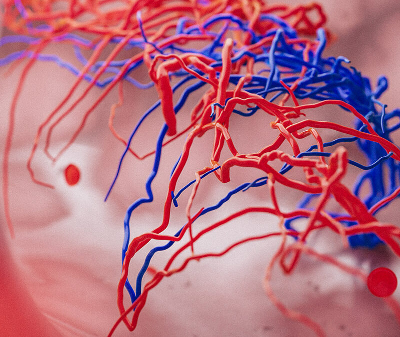 Microbubble-contrast ultrasound imaging of microvasculature to treat male and female reproductive disorders